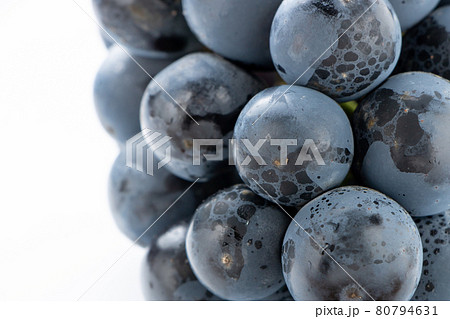 ぶどう(種無しピオーネ)のアップ。 ぶどう(種無しピオーネ)のアップ。 80794631