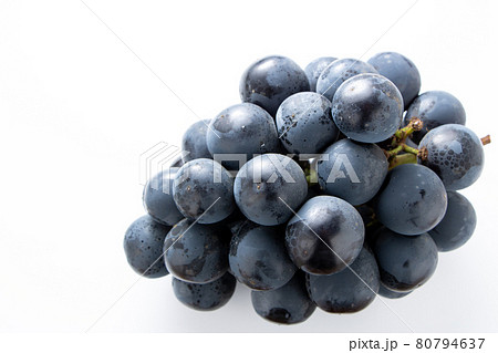 ぶどう(種無しピオーネ)。(白バック) ぶどう(種無しピオーネ)。(白バック) 80794637
