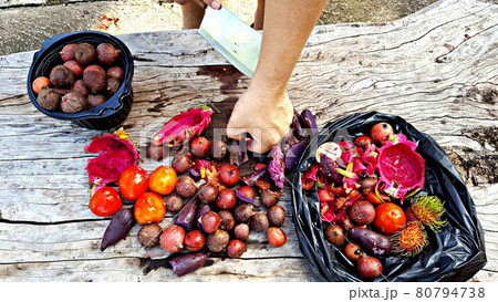 Fruits and vegetables are being prepared to compost organic fertilizer Fruits and vegetables are being prepared to compost organic fertilizer 80794738
