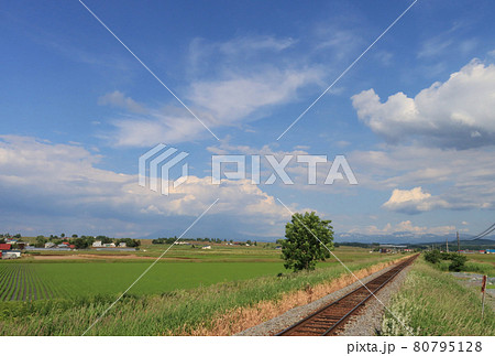富良野線 西聖和駅から見た線路 富良野線 西聖和駅から見た線路 80795128