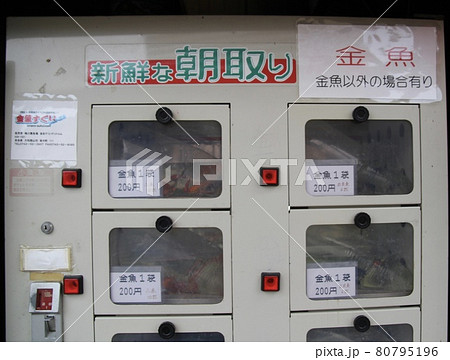 金魚の自動販売機 80795196
