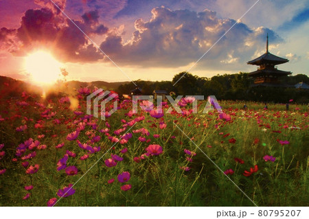 法起寺の秋 80795207