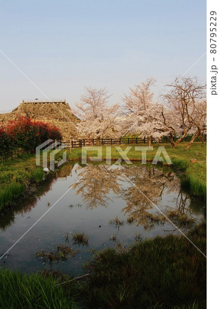 大和郡山城 80795229