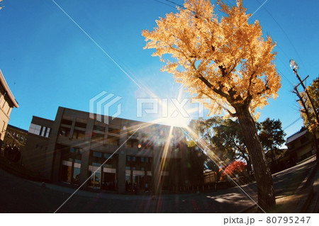 畝傍高校 80795247