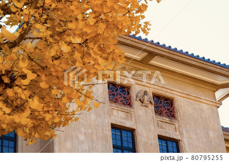 畝傍高校 80795255