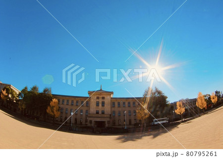 畝傍高校 畝傍高校 80795261