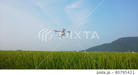 ドローンによる農薬散布風景 80795421