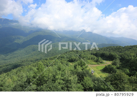 夏の雄大な山々(長野県 白馬村) 夏の雄大な山々(長野県 白馬村) 80795929