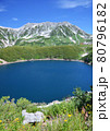 コバルトブルーが美しい立山のみくりが池 80796182
