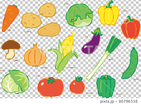 野菜イラストセット 80796338