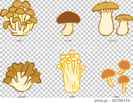 きのこイラストセット 80796339