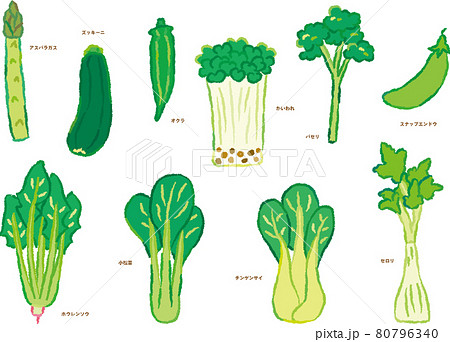 野菜イラストセット 緑の野菜のイラスト素材