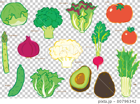 野菜イラストセット サラダのイラスト素材