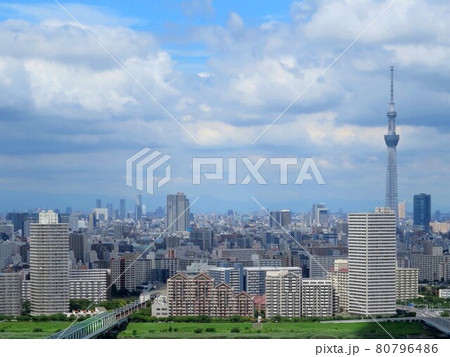 タワーホール船堀からの東京スカイツリー 東武アプリ 80796486