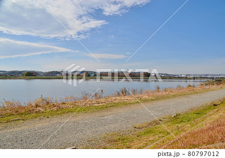 晩秋の多摩川二ケ領上河原堰堤 80797012