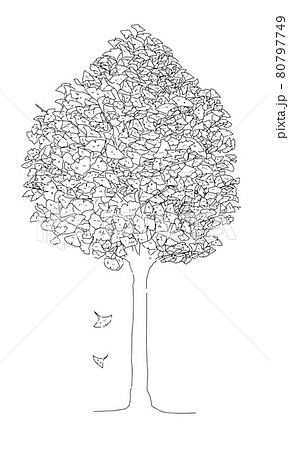 モノクロ線画のイチョウの木のイラスト素材