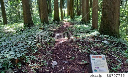 増山城 無常 増山城 無常 80797756