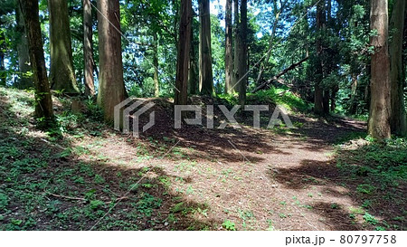 増山城　馬之背ゴ 80797758