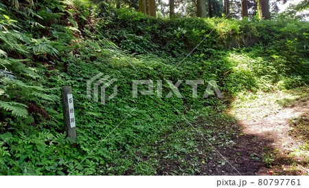 増山城 入口近くの石垣 増山城 入口近くの石垣 80797761