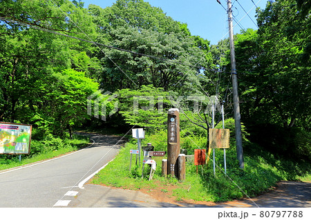 埼玉県　秩父　二本木峠　 80797788