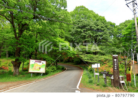 埼玉県 秩父 二本木峠 埼玉県 秩父 二本木峠 80797790