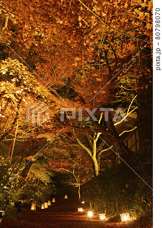 【京都府】亀岡市　神蔵寺　紅葉ライトアップ　秋の風景　明智光秀ゆかりの地 80798070