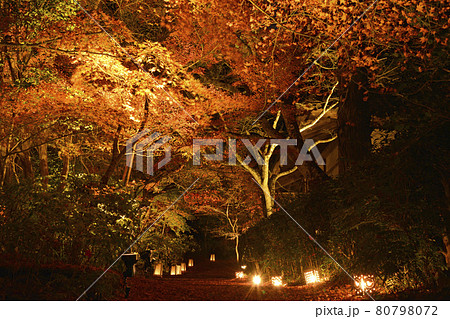 【京都府】亀岡市　神蔵寺　紅葉ライトアップ　秋の風景　明智光秀ゆかりの地 80798072