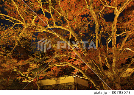 【京都府】亀岡市　神蔵寺　紅葉ライトアップ　秋の風景　明智光秀ゆかりの地 80798073