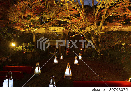 【京都府】亀岡市　神蔵寺　紅葉ライトアップ　秋の風景　明智光秀ゆかりの地 80798076