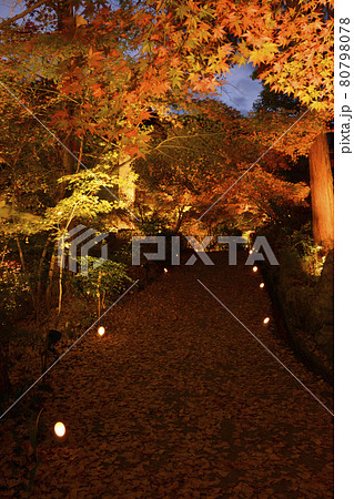 【京都府】亀岡市　神蔵寺　紅葉ライトアップ　秋の風景　明智光秀ゆかりの地 80798078