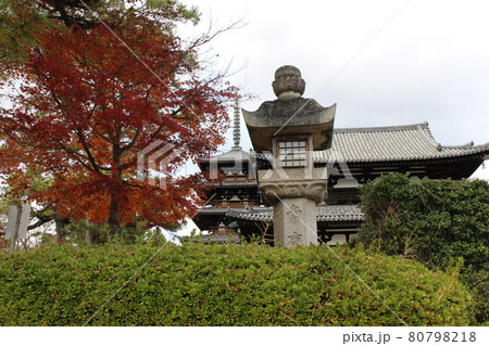 秋の法隆寺 【奈良県】 秋の法隆寺 【奈良県】 80798218