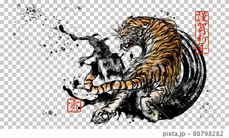 New Year's material of the tiger year 80798282