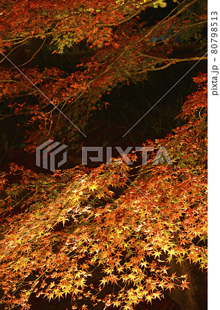 【京都府】亀岡市 神蔵寺 紅葉ライトアップ 秋の風景 明智光秀ゆかりの地 【京都府】亀岡市 神蔵寺 紅葉ライトアップ 秋の風景 明智光秀ゆかりの地 80798513