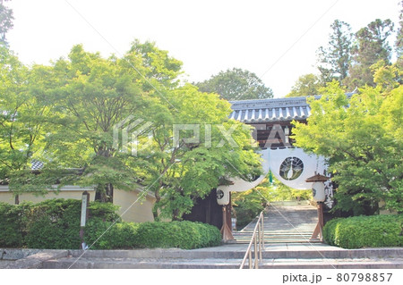 青紅葉の光明寺 青紅葉の光明寺 80798857