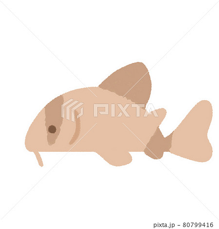 ゆるいコリドラス イラストのイラスト素材