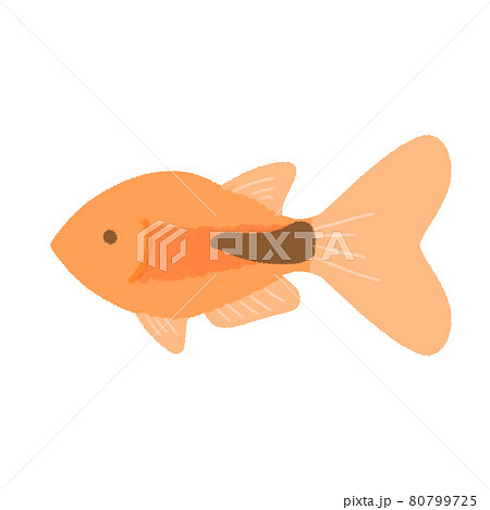 ゆるいラスボラのイラスト素材