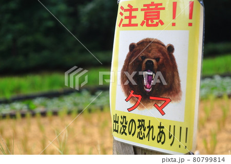 熊の看板 熊の看板 80799814