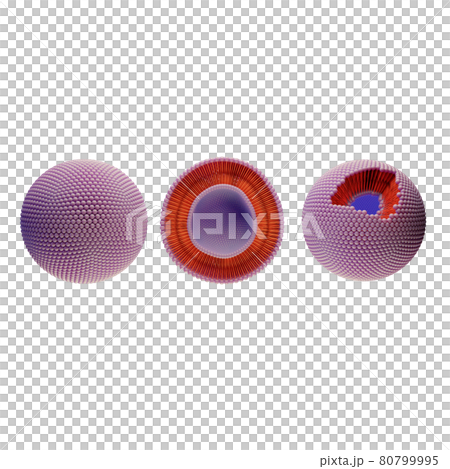 liposomes liposomes 80799995