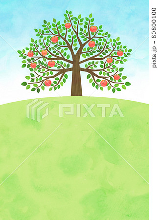 りんごの木のイラスト素材