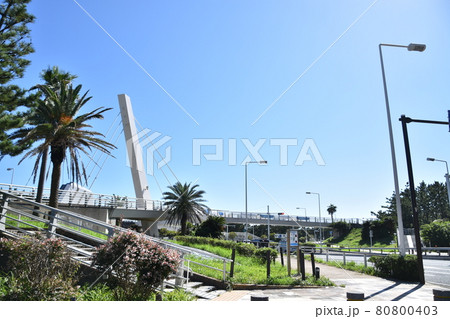 浜須賀交差点歩道橋の風景 茅ヶ崎市 浜須賀交差点歩道橋の風景 茅ヶ崎市 80800403