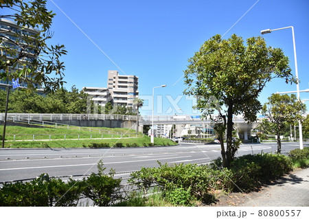 浜須賀交差点歩道橋の風景 茅ヶ崎市 浜須賀交差点歩道橋の風景 茅ヶ崎市 80800557