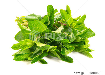 モヒート用のミント、イエルバブエナ 80800659