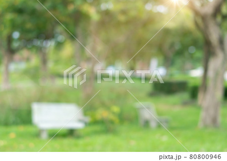 Blur nature bokeh green park by beach and tropical coconut trees. Blur nature bokeh green park by beach and tropical coconut trees. 80800946