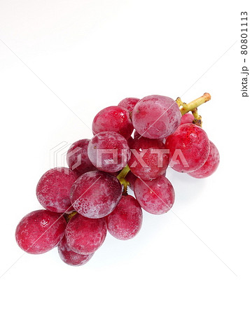 ぶどう　ブドウ　葡萄 80801113