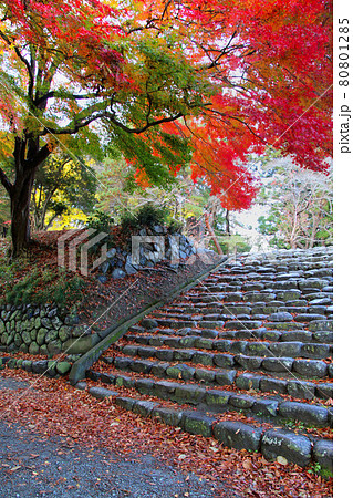 秋の相馬中村神社(福島県・相馬市) 秋の相馬中村神社(福島県・相馬市) 80801285