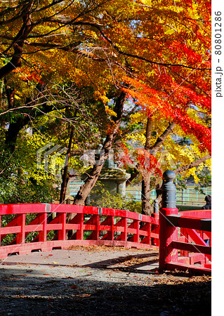 秋の相馬中村神社・赤橋(福島県・相馬市) 秋の相馬中村神社・赤橋(福島県・相馬市) 80801286