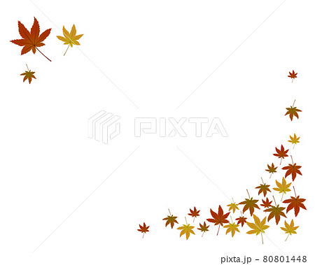 紅葉 落ち葉のイラストフレーム 紅葉 落ち葉のイラストフレーム 80801448