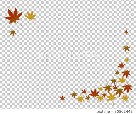 紅葉 落ち葉のイラストフレーム 紅葉 落ち葉のイラストフレーム 80801448