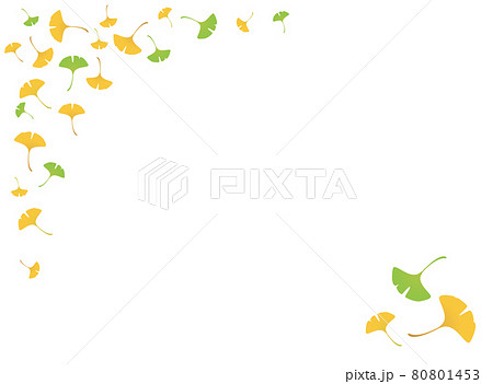 紅葉　イチョウの落ち葉のイラストフレーム 80801453