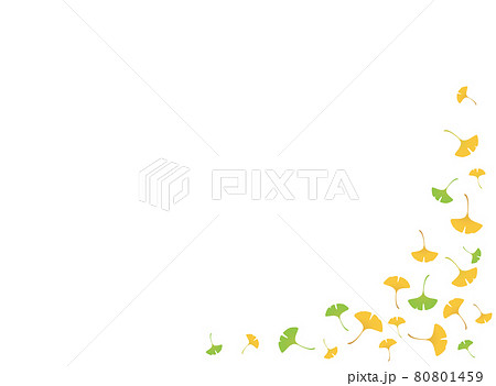 紅葉 イチョウの落ち葉のイラストフレーム 紅葉 イチョウの落ち葉のイラストフレーム 80801459